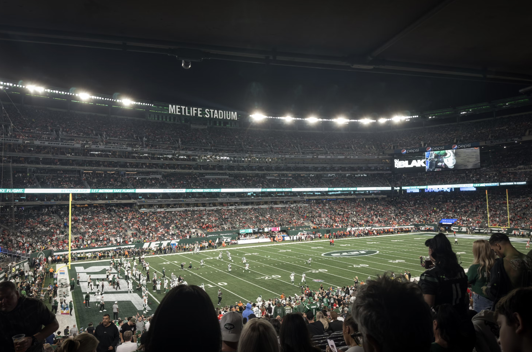 NFL dynasty - fans in stadium